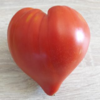 Tomato with heart shape from the bed and breakfast’s garden