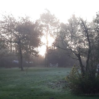 Guest house garden on a misty morning