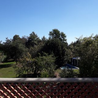 Beautiful garden view from the terrace of a suite